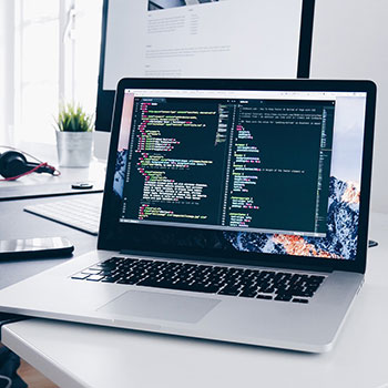 镜头扫过这一秒，网友全暂停了